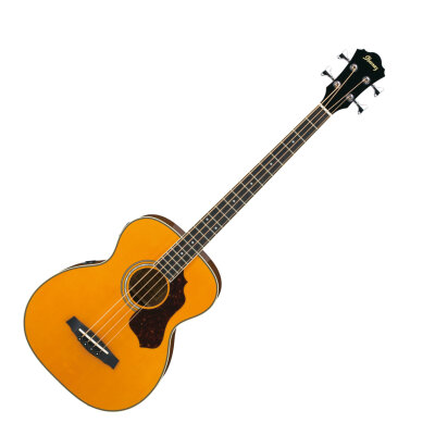 Ibanez SGBE110 Sage Bass