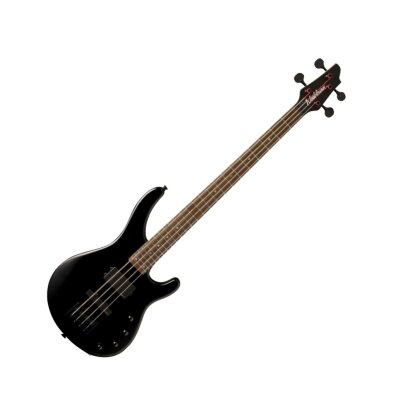 Washburn SHBH3 Stu Hamm