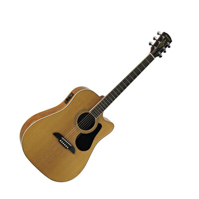 Alvarez RD16CE Acoustic
