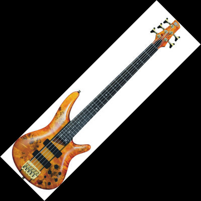Ibanez SR805 Bass 5-st