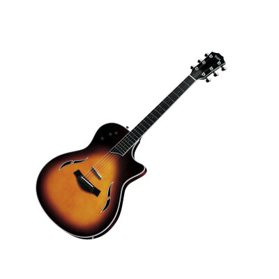 Taylor T5 Standard Spruce