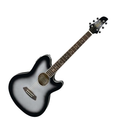 Ibanez TCY10E