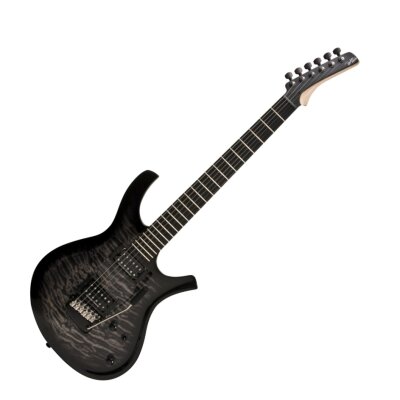 Parker PDF100 Guitar