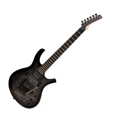 Parker PDF105 Guitar