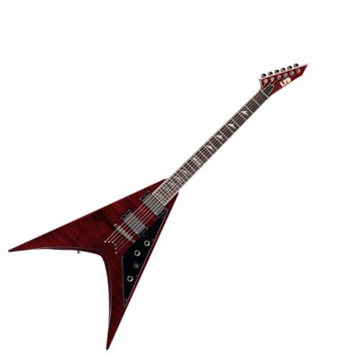 ESP LTD V401FM Guitar