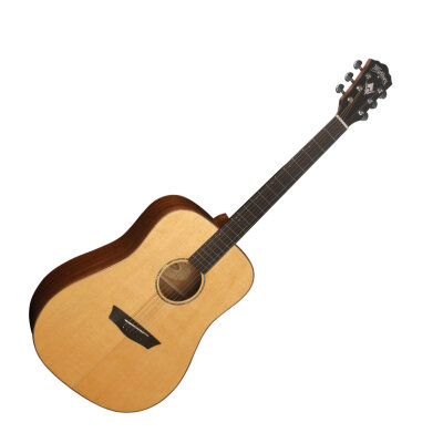 Washburn WD150SW Guitar