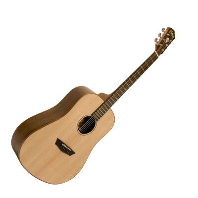 Washburn WD750SW Guitar