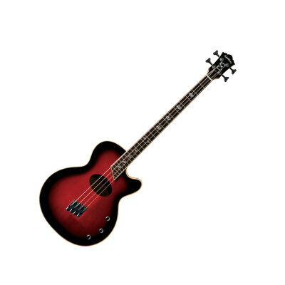 Washburn AB-40SH Stu Hamm