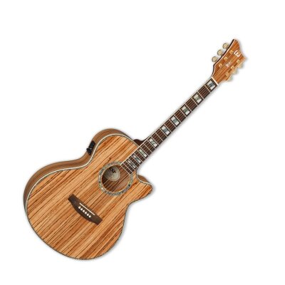 ESP LTD Xtone EW-Z Guitar