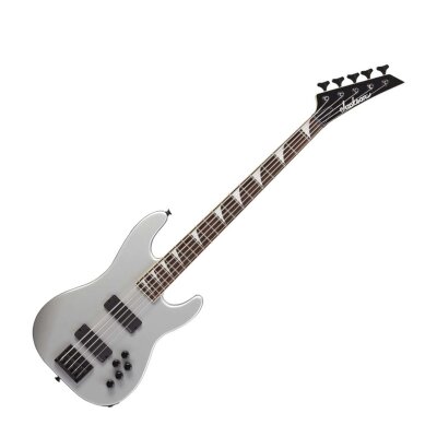 Jackson David Ellefson V
