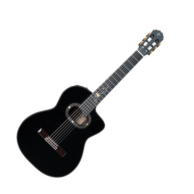 Takamine 2012C Limited ED