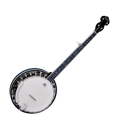 Washburn B14 Banjo