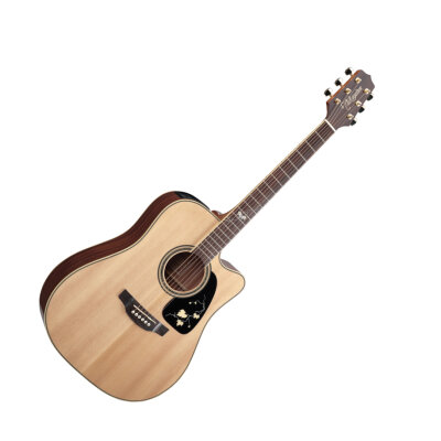 Takamine EG50TH Acoustic