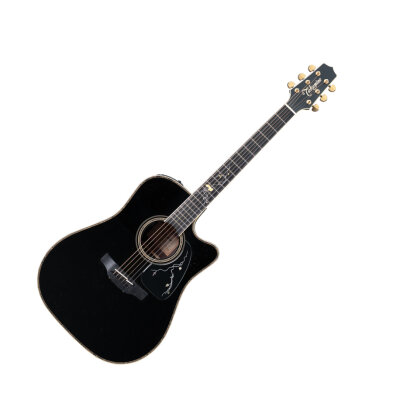Takamine 2012 Limited ED