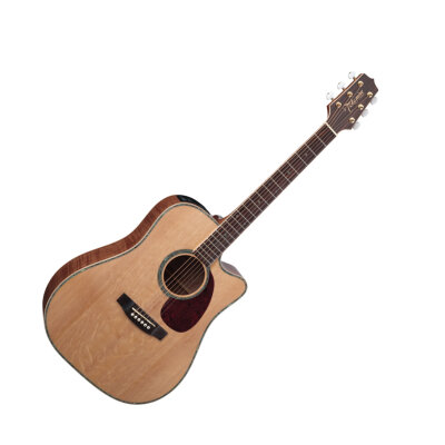 Takamine EG340DLX Guitar
