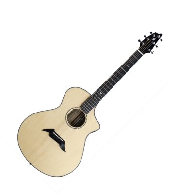 Breedlove USA Voice