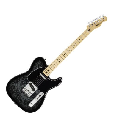 Fender Paisley Tele MN