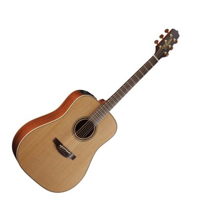 Takamine P3D Guitar