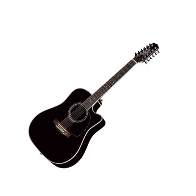 Takamine EF381SC Acoustic