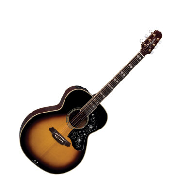 Takamine LTD2009