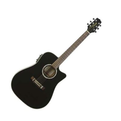 Takamine EG531SC Acoustic