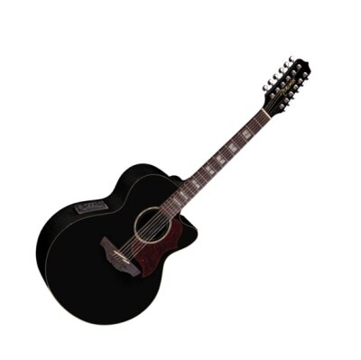 Takamine 12-String Jumbo