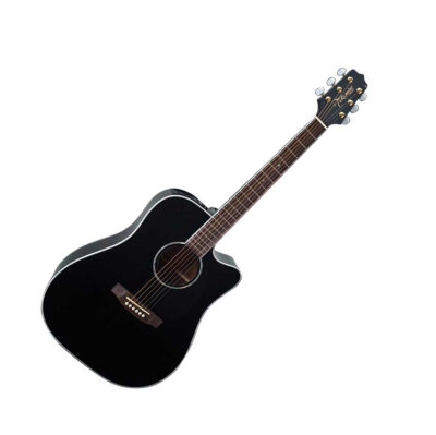 Takamine EG341SC Cutaway