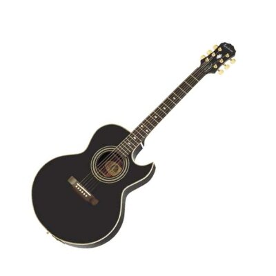 Epiphone PR5-E Acoustic