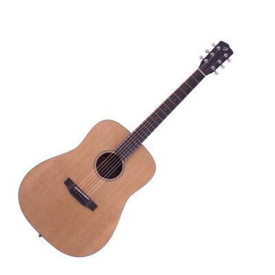 Breedlove Passport DSM