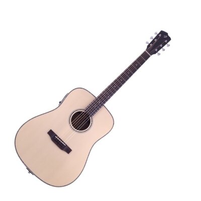 Breedlove Atlas D ERe