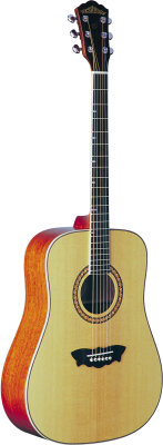 Washburn WD32SW Acoustic
