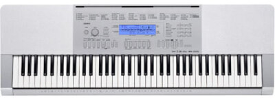 Casio WK 225 Keyboard