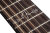 Inlay