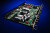 Innards