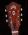 Natural Headstock Closeup