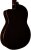 Black - Back