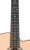 Neck
