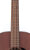 Neck
