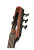 Sunburst - Headstock