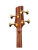 Headstock