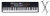 with Free World Tour Keyboard Stand