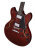 Gloss Walnut - Body