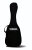 Gig Bag