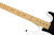 Fretboard Detail
