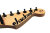 Headstock Detail