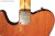 Neck Closeup