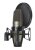 Shockmounted - Back