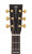 Headstock Closeup