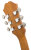Vintage Sunburst Headstock Back
