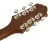 Vintage Sunburst Headstock Back